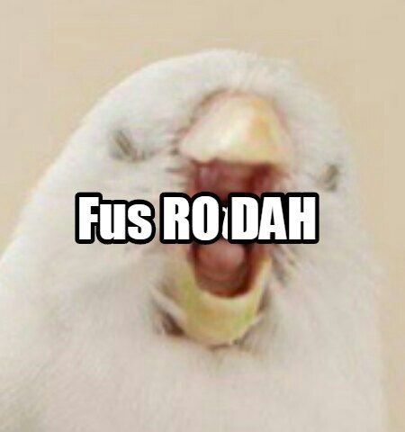 WipAdJhKBOU.jpg